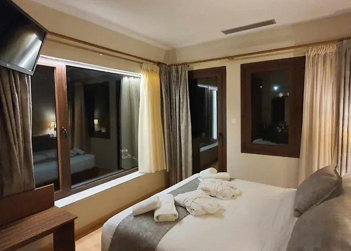 Hotel Xenios Dias Boutique Litochoro